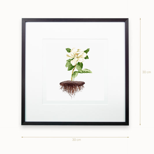 Jamin_30x30x_C2_SW_Artikel_1920x1920