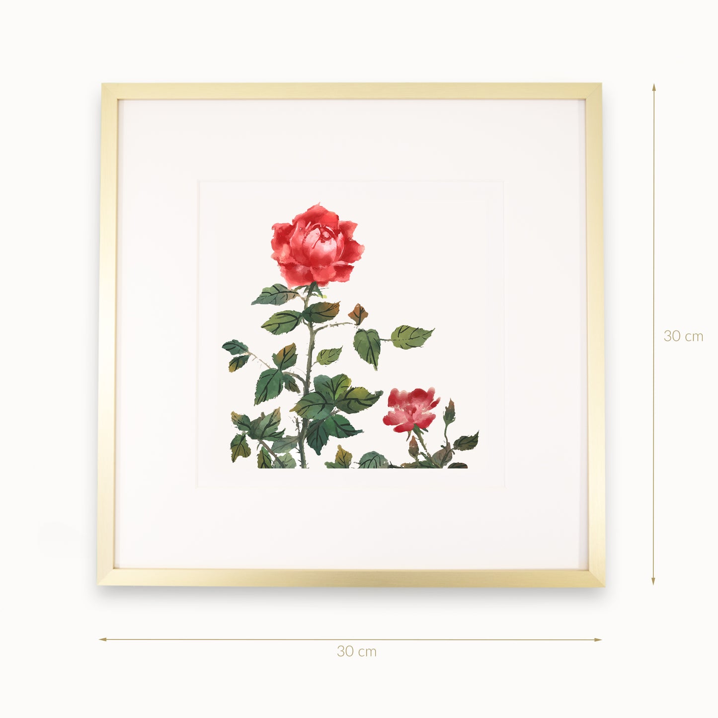 Je-Jardin-des-Roses-C2_gold_r13_5_SW_Artikel_30x30_1920x1920