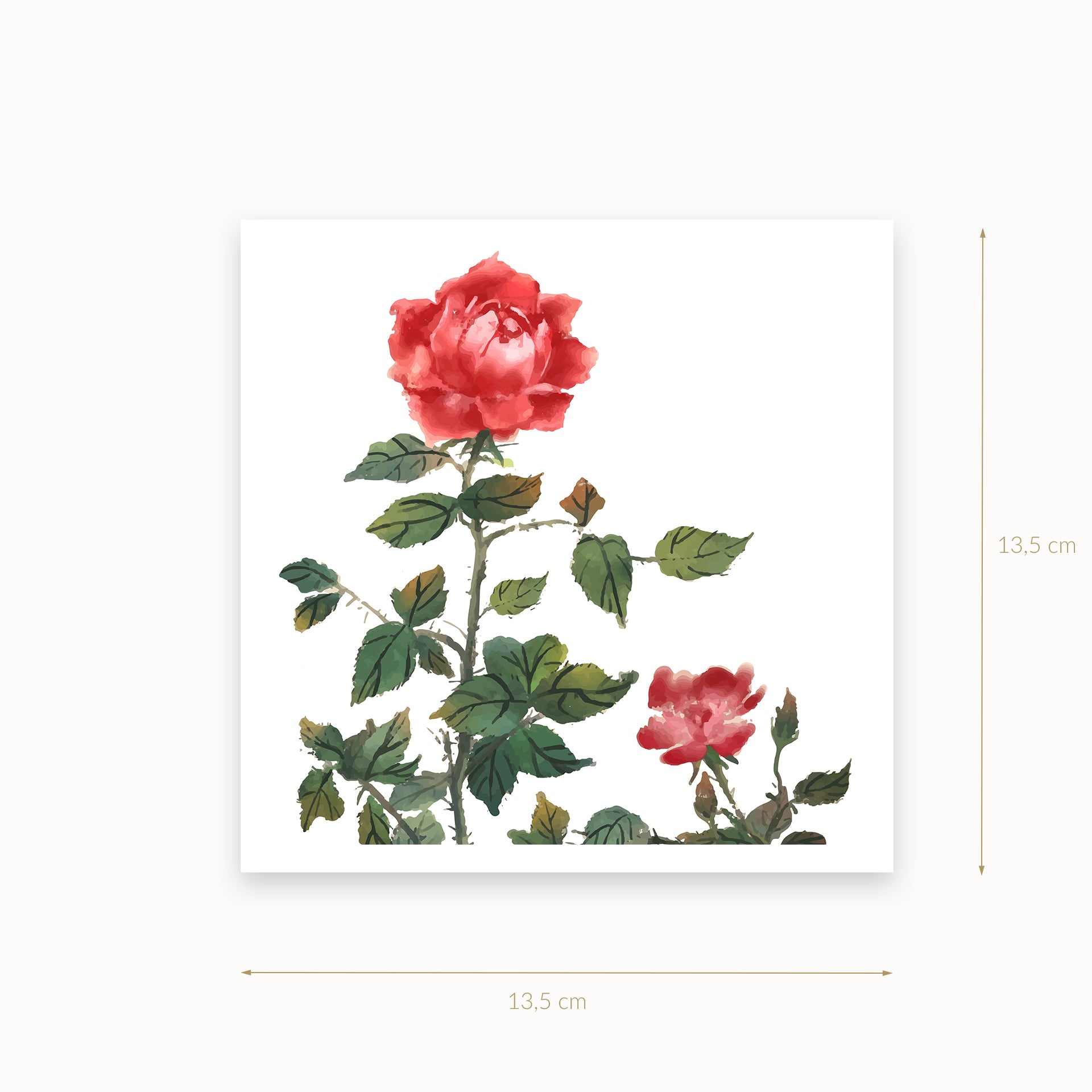 Le-Jardin-des-Roses_Le_Petit_Art_mirandolo_SW_Artikel_1920x1920