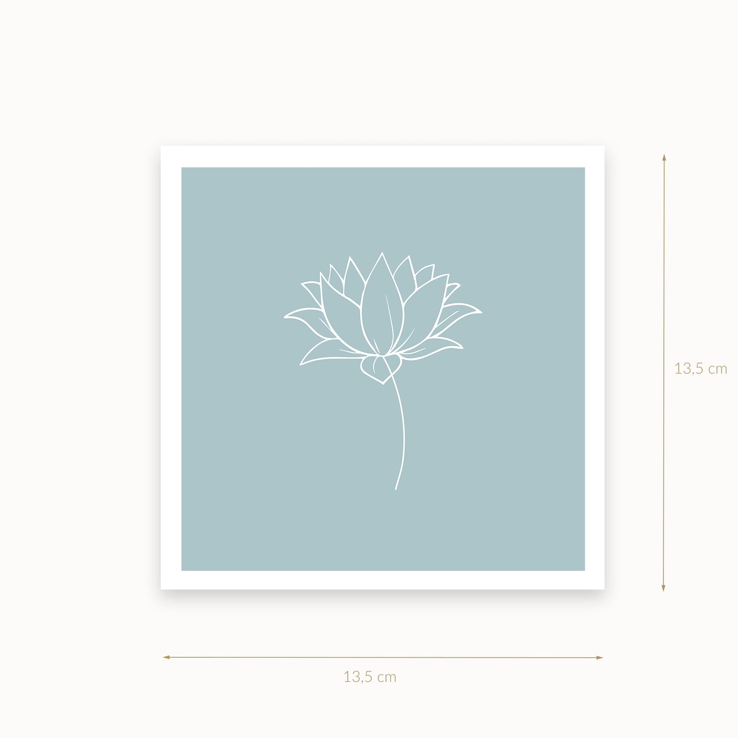 Lotus-1-white-light-blue_helles-Blaugruen_13_5_basics_mirandolo_SW_Artikel_1920x1920