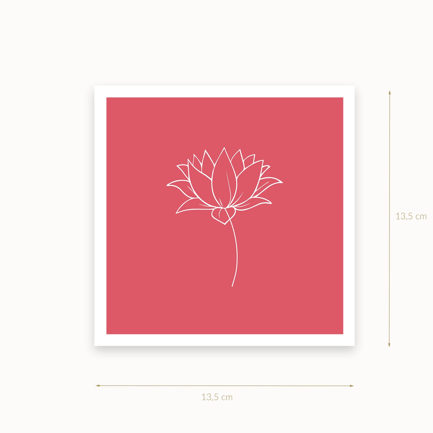 Lotus-1-white-redpink_Helles-Karminrosa_13_5_basics_mirandolo_SW_Artikel_1920x1920