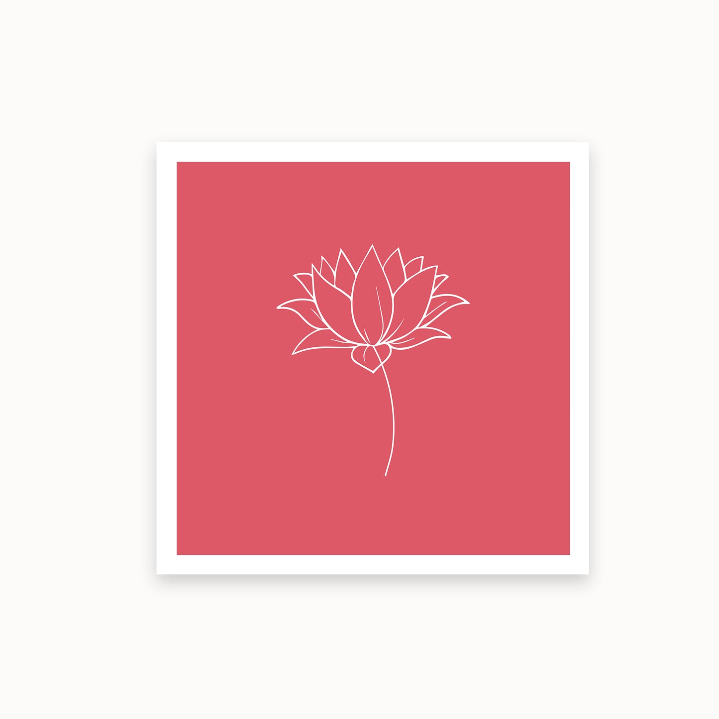 Lotus-1-white-redpink_Helles-Karminrosa_basics_mirandolo_SW_Artikel_1920x1920