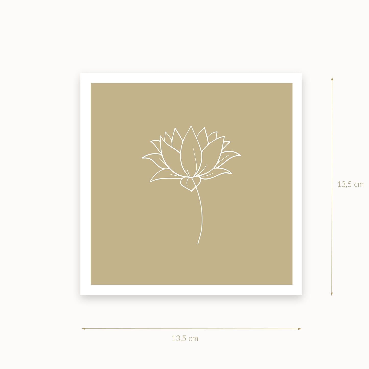 Lotus-1-white-soft-brown_Ecru_13_5_basics_mirandolo_SW_Artikel_1920x1920
