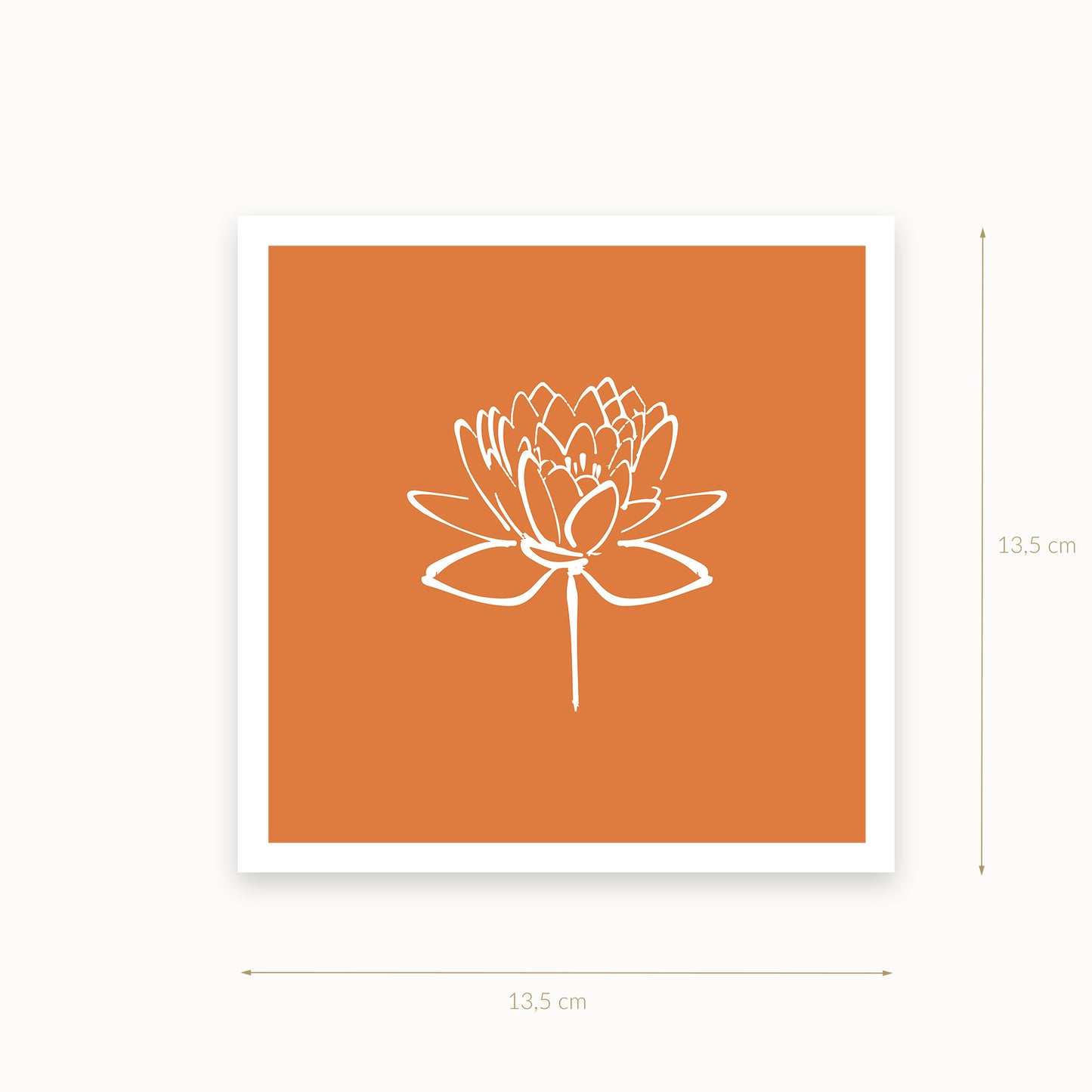 Lotus-2-white-brown_kraeftiges-BUTTERSCOTCH-BEIGE_13_5_basics_mirandolo_SW_Artikel_1920x1920