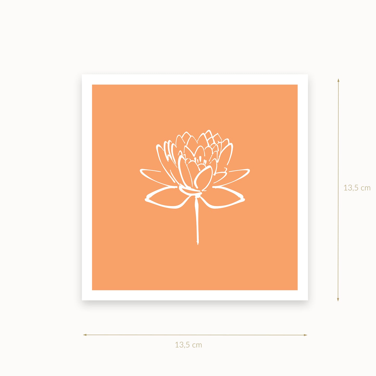 Lotus-2-white-light-brown_helles-BUTTERSCOTCH-BEIGE_13_5_basics_mirandolo_SW_Artikel_1920x1920