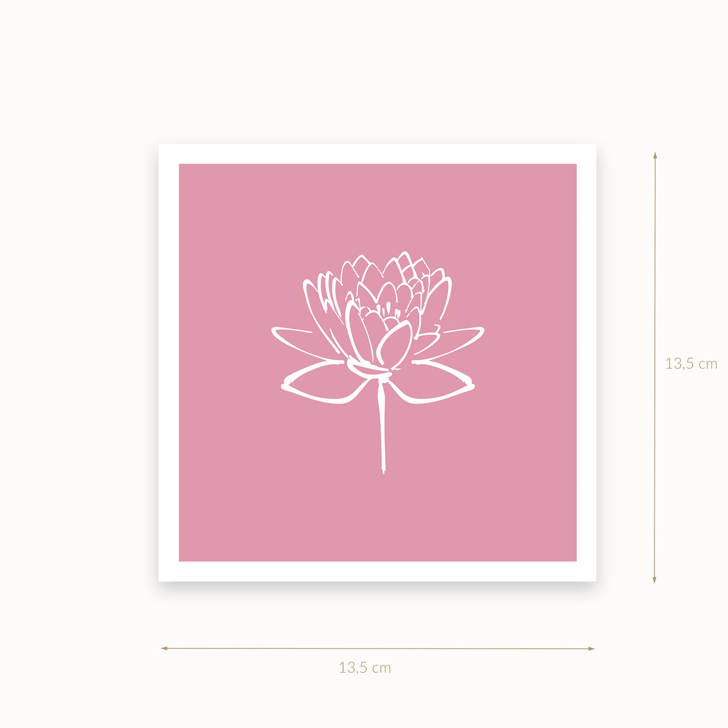 Lotus-2-white-pink_Mauvelous_13_5_basics_mirandolo_SW_Artikel_1920x1920