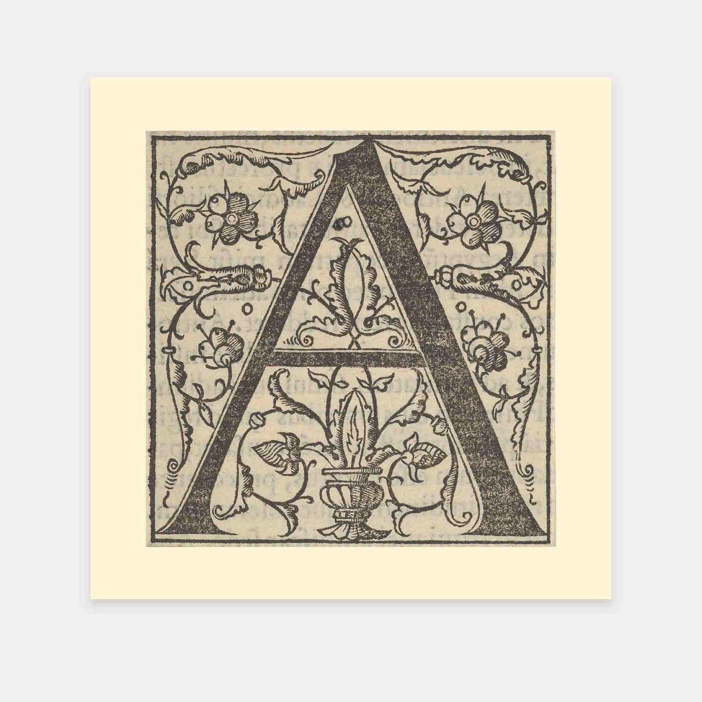 mirandolo-Der-Buchstabe-A-Oronce-Fine-16Jahrhundert