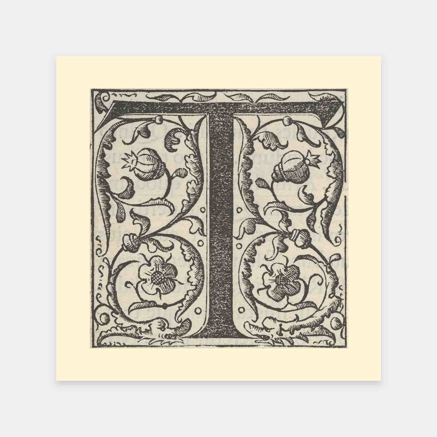 mirandolo-Der-Buchstabe-T-16Jahrhundert