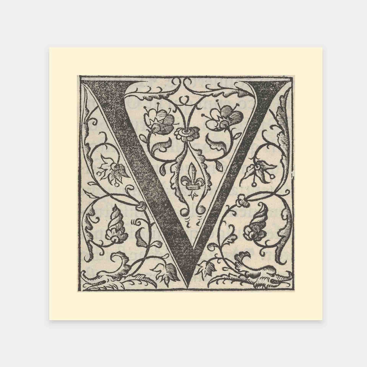 mirandolo-Der-Buchstabe-V-16Jahrhundert