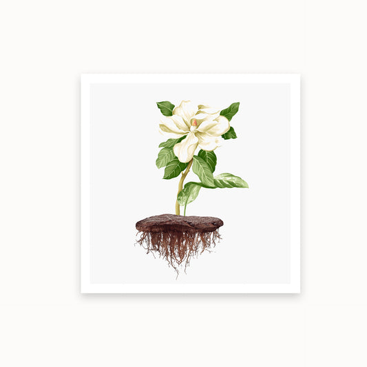 Jasmin_c_Le_Petit_Art_mirandolo_SW_Artikel_1920x1920