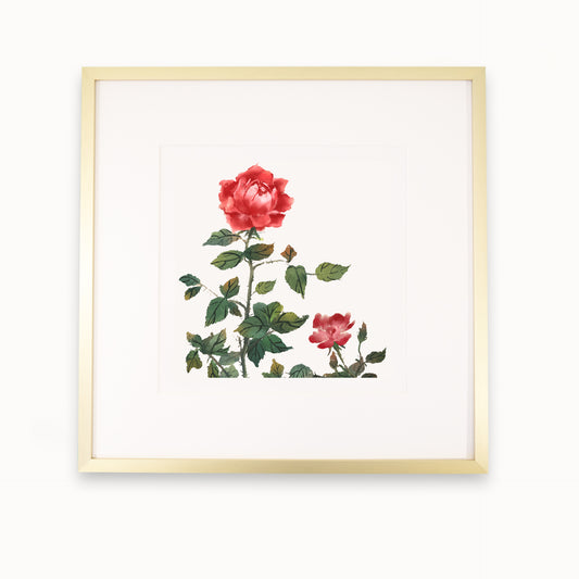 Je-Jardin-des-Roses-C2_gold_SW_Artikel_30x30_1920x1920