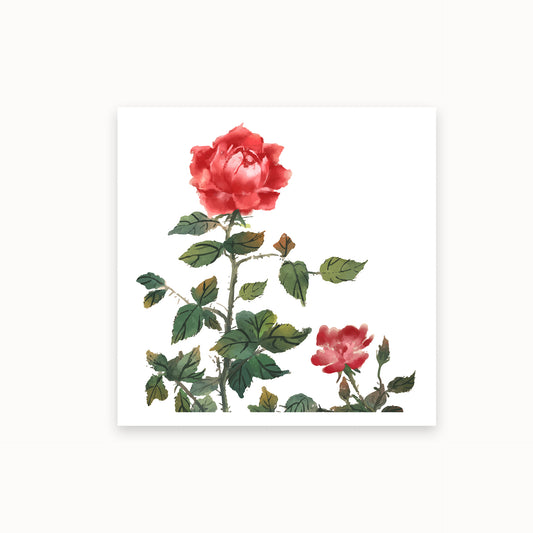 Le-Jardin-des-Roses_c_Le_Petit_Art_mirandolo_SW_Artikel_1920x1920