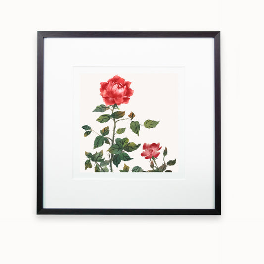 Le-jardin-des-roses_C2_SW_Artikel_1920x1920