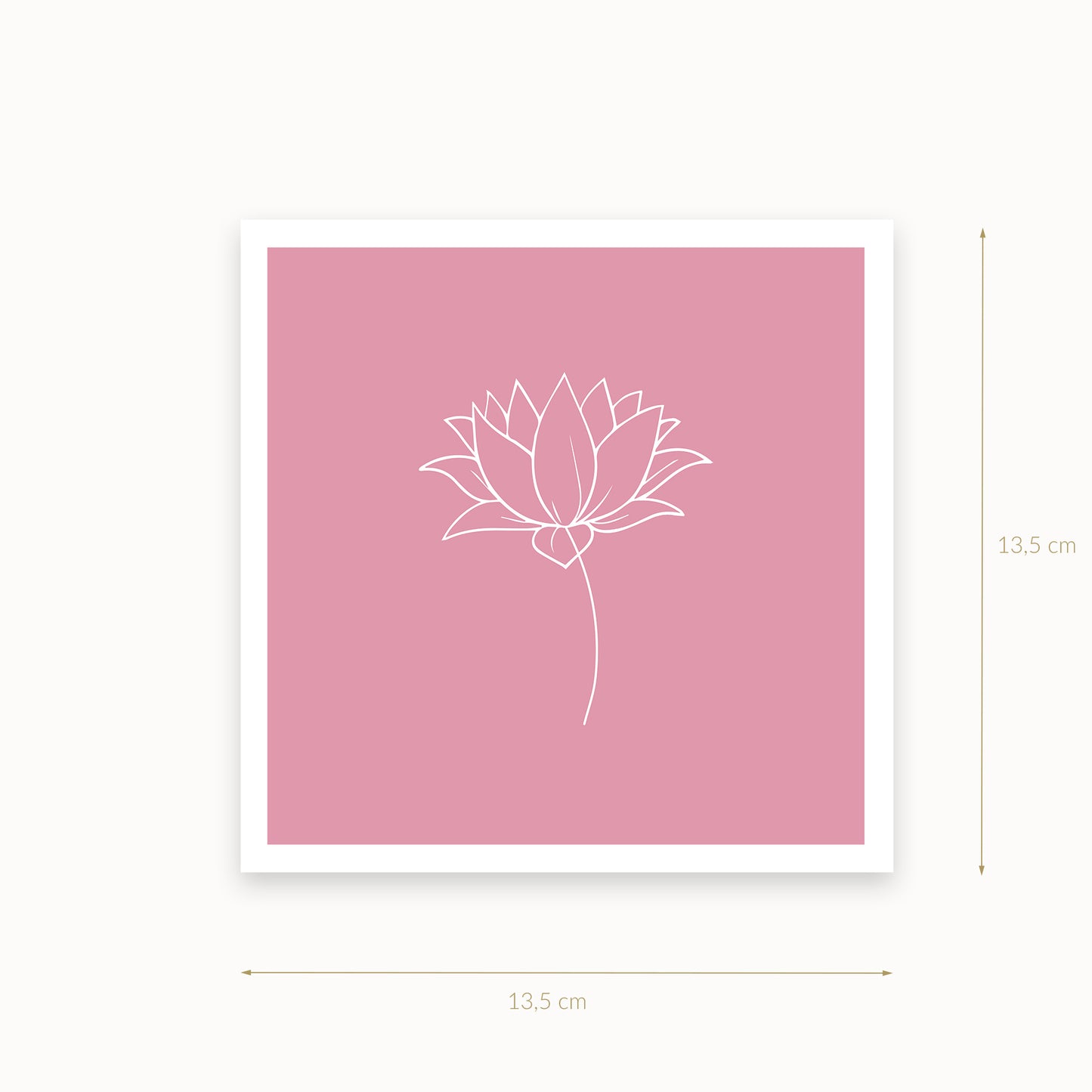 Lotus-1-white-pink_Mauvelous_13_5_basics_mirandolo_SW_Artikel_1920x1920