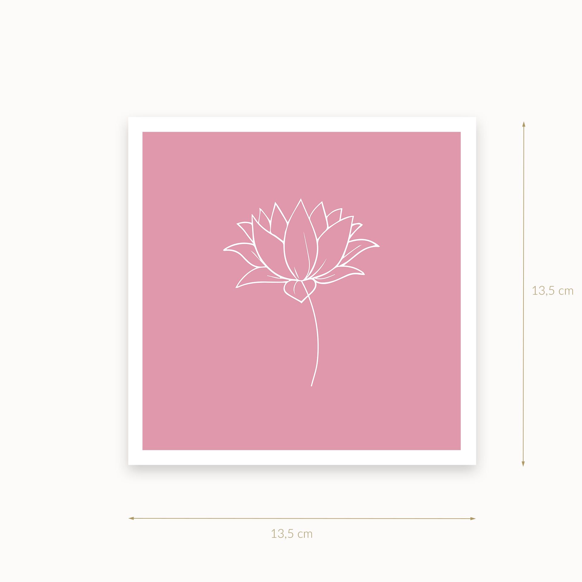 Lotus-1-white-pink_Mauvelous_13_5_basics_mirandolo_SW_Artikel_1920x1920