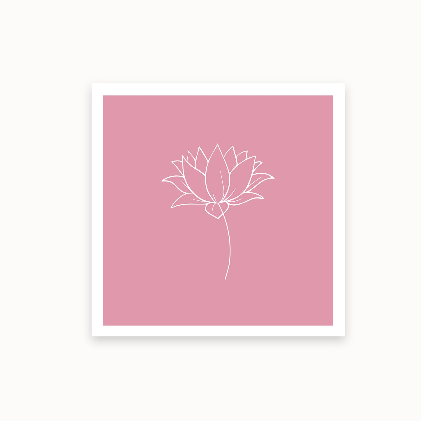 Lotus-1-white-pink_Mauvelous_basics_mirandolo_SW_Artikel_1920x1920