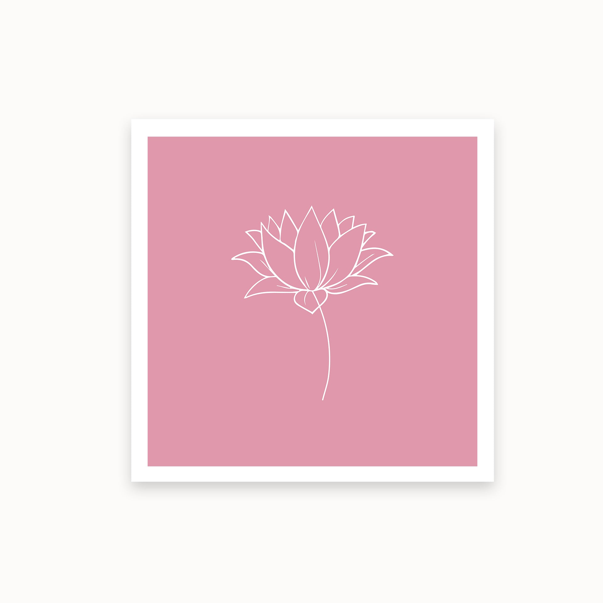 Lotus-1-white-pink_Mauvelous_basics_mirandolo_SW_Artikel_1920x1920
