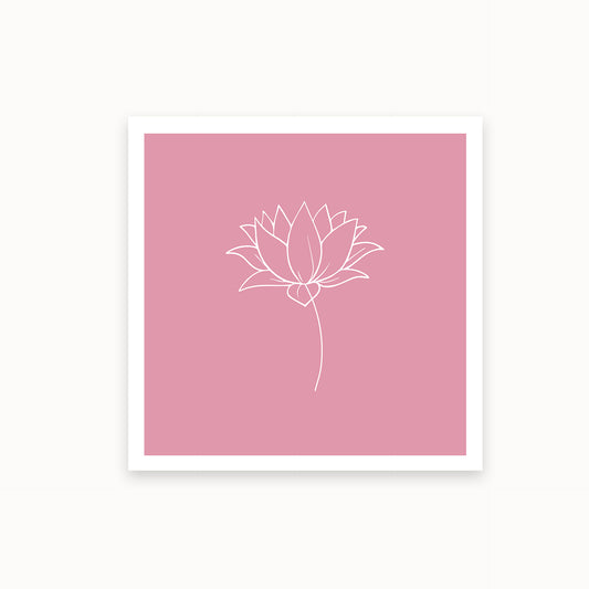 Lotus-1-white-pink_Mauvelous_basics_mirandolo_SW_Artikel_1920x1920