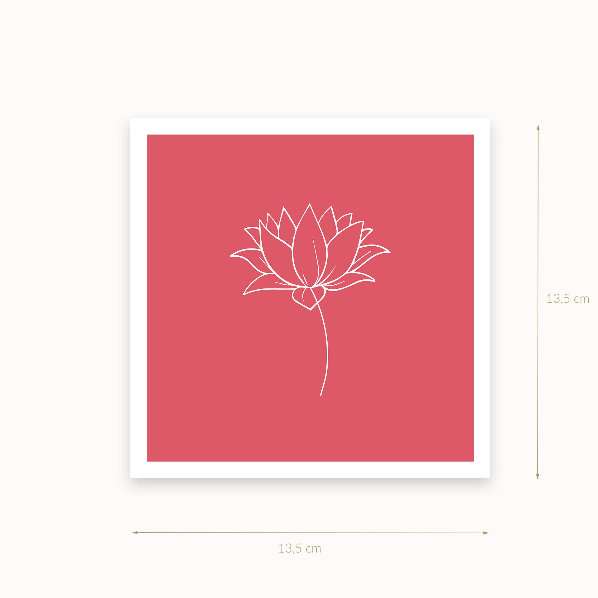 Lotus-1-white-redpink_Helles-Karminrosa_13_5_basics_mirandolo_SW_Artikel_1920x1920