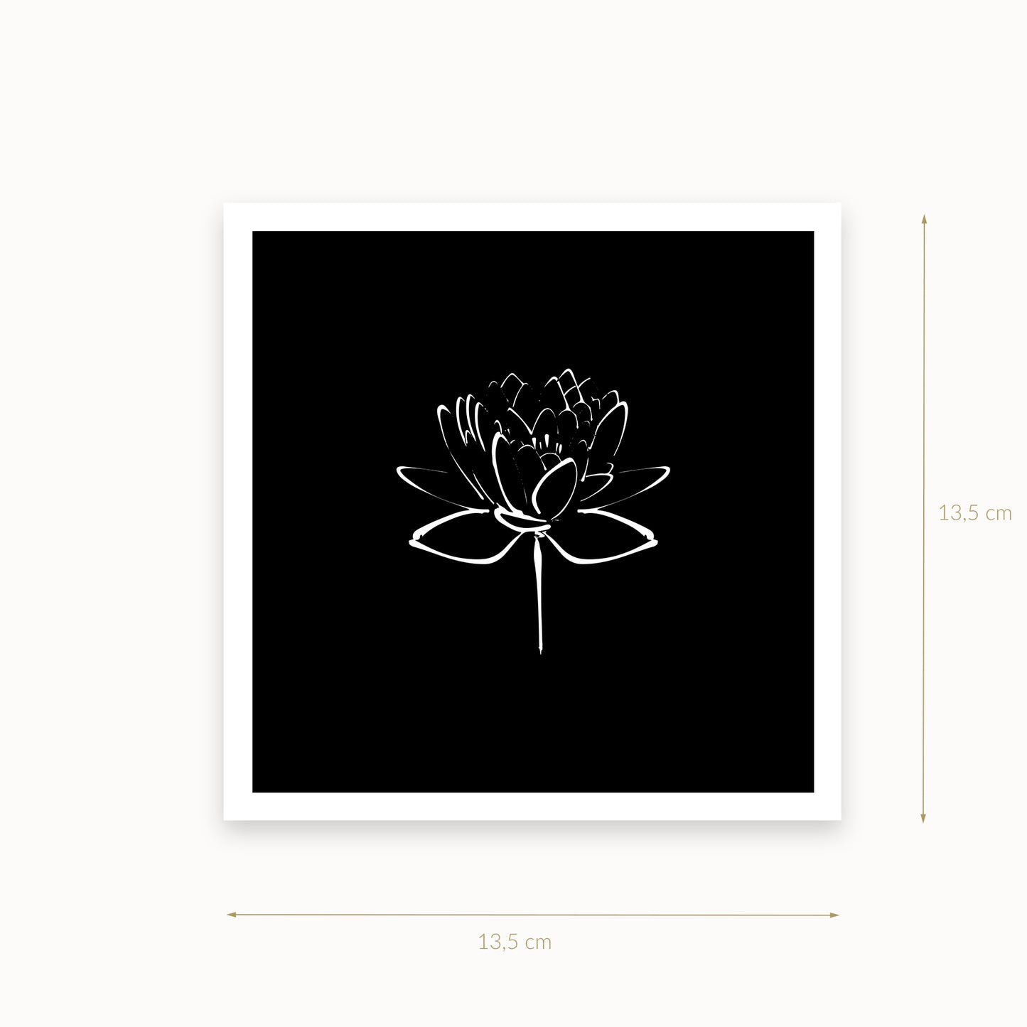 Lotus-2-white-black_13_5_basics_mirandolo_SW_Artikel_1920x1920