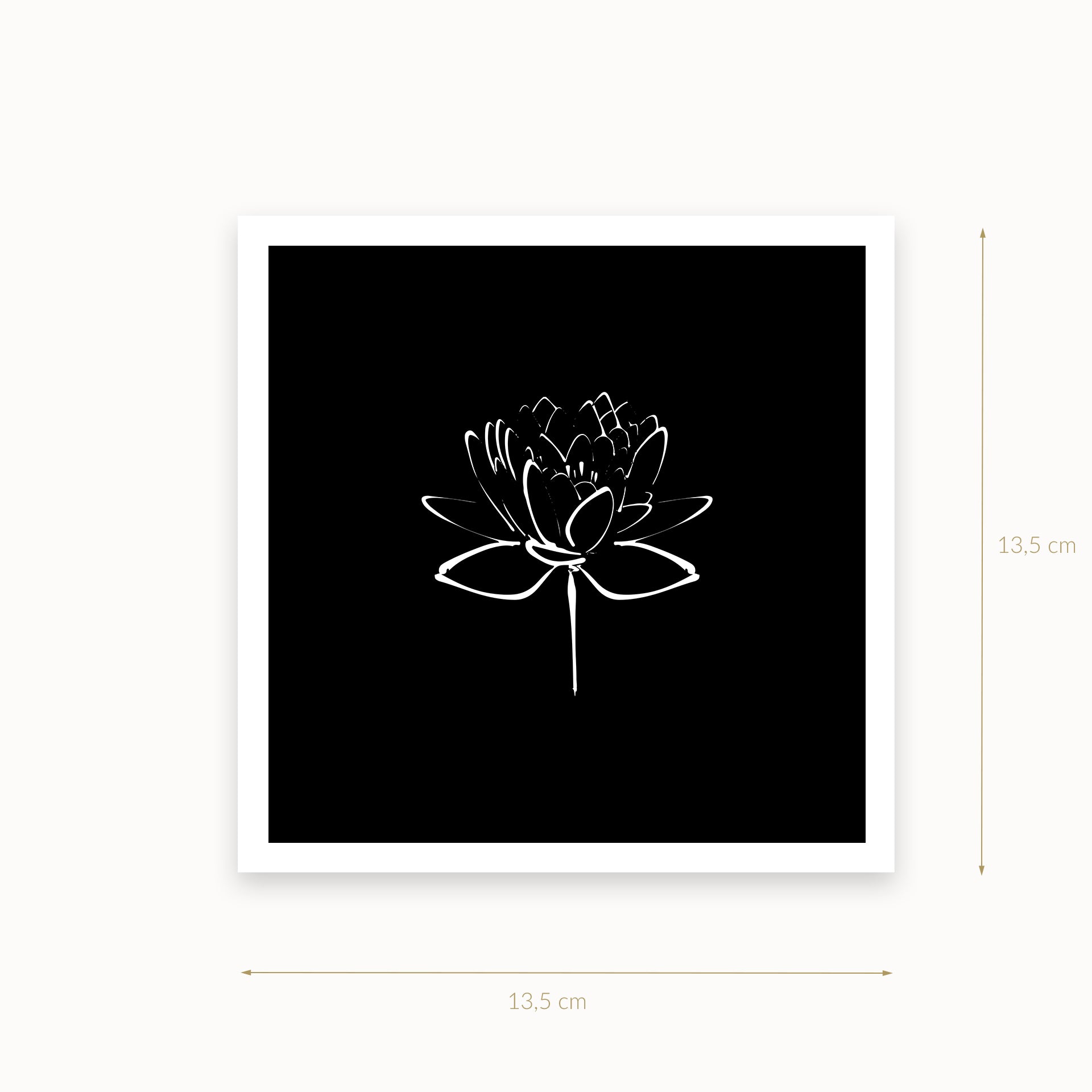 Lotus-2-white-black_13_5_basics_mirandolo_SW_Artikel_1920x1920