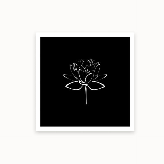 Lotus-2-white-black_basics_mirandolo_SW_Artikel_1920x1920
