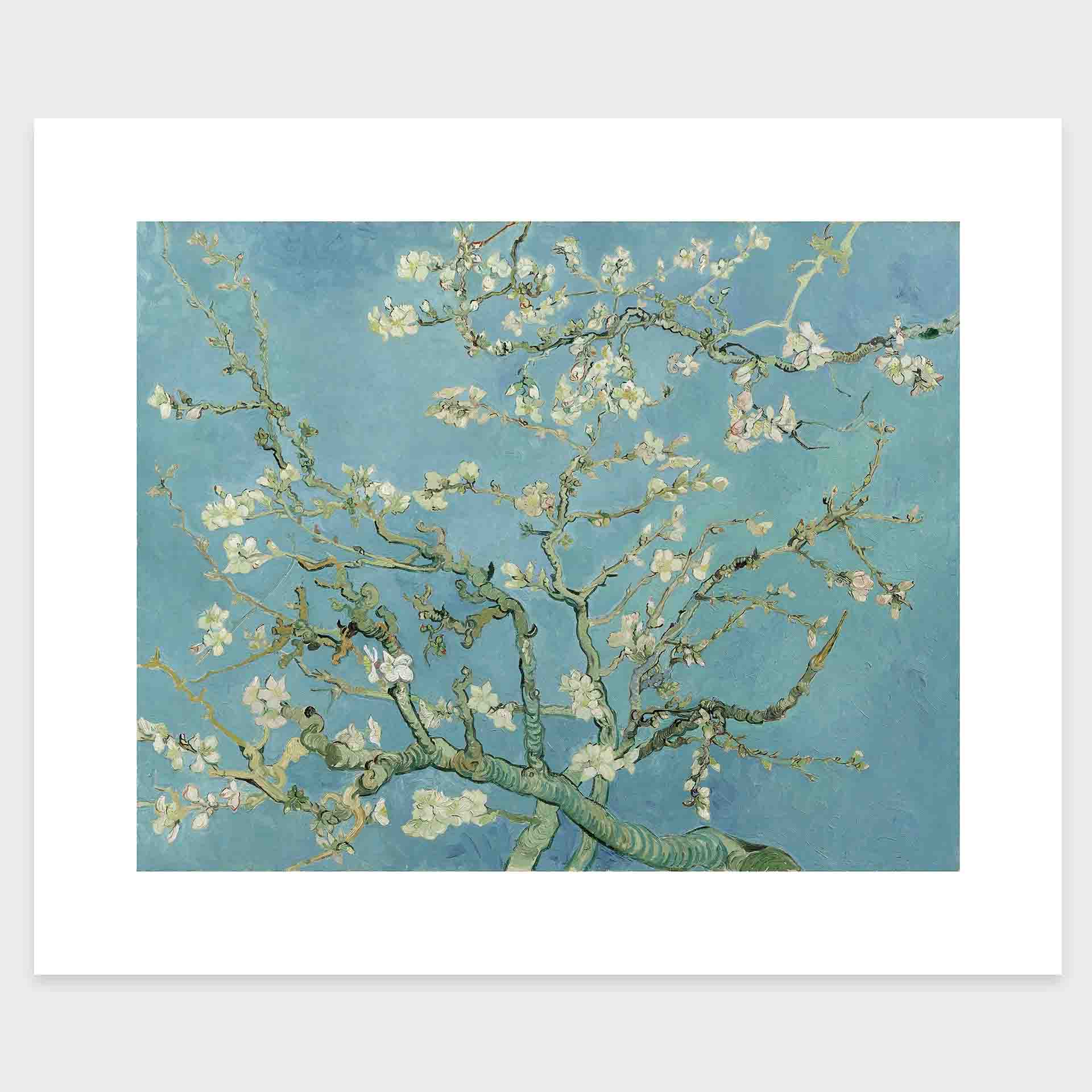 mirandolo_Almond_Blossom_Vincent-van-Gogh